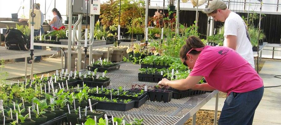 Johnston Community College