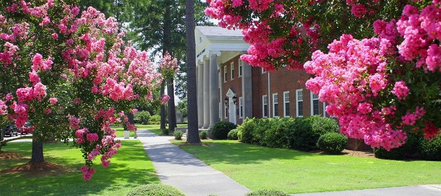 Pitt Community College